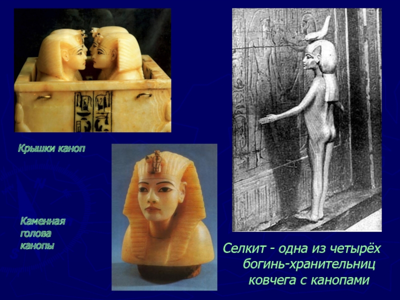Селкит - одна из четырёх богинь-хранительниц ковчега с канопами Крышки канопКаменная голова канопы