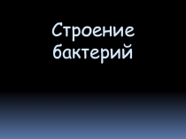 Строение бактерий