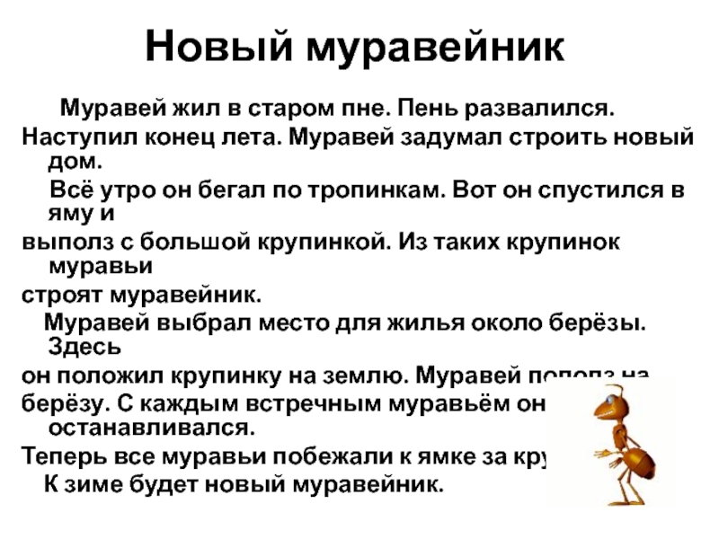 Новый муравейник