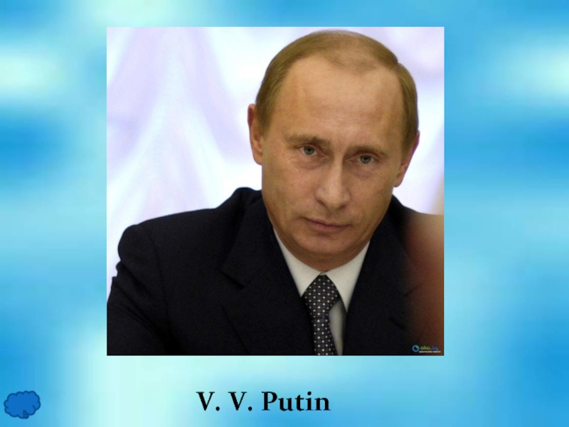 V. V. Putin