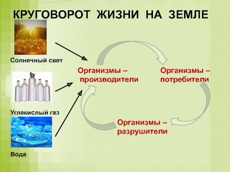 Великий круговорот жизни презентация 3 класс