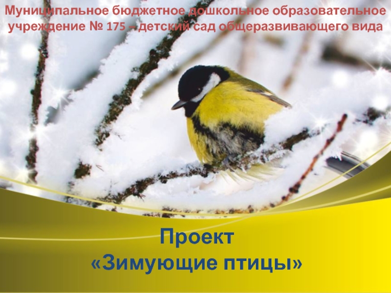 Проект Зимующие птицы