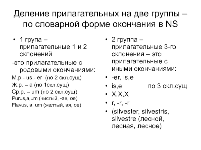 Деление прилагательных на две группы – по словарной форме окончания в NS1 група – прилагательные 1 и