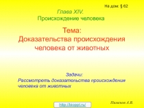 Доказательства происхождения человека от животных