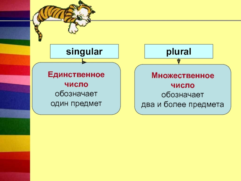 Предмет множественное число или единственное