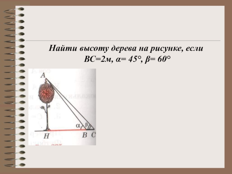 Найти вторую высоту. Нахождение высоты дерева. Найти высоту дерева. Вычислить высоту дерева. Найти высоту предмета.