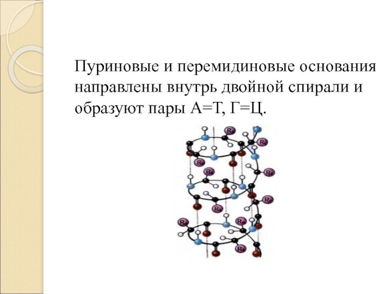 Днк 11. Урадиловые перемидиновые.