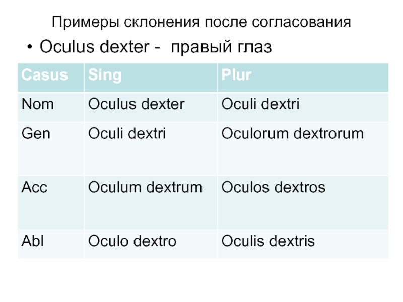 Примеры склонения после согласованияOculus dexter - правый глаз