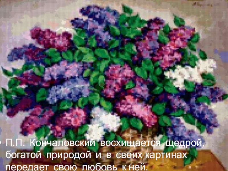 П.П. Кончаловский восхищается щедрой, богатой природой и в своих картинах передает свою любовь к ней.