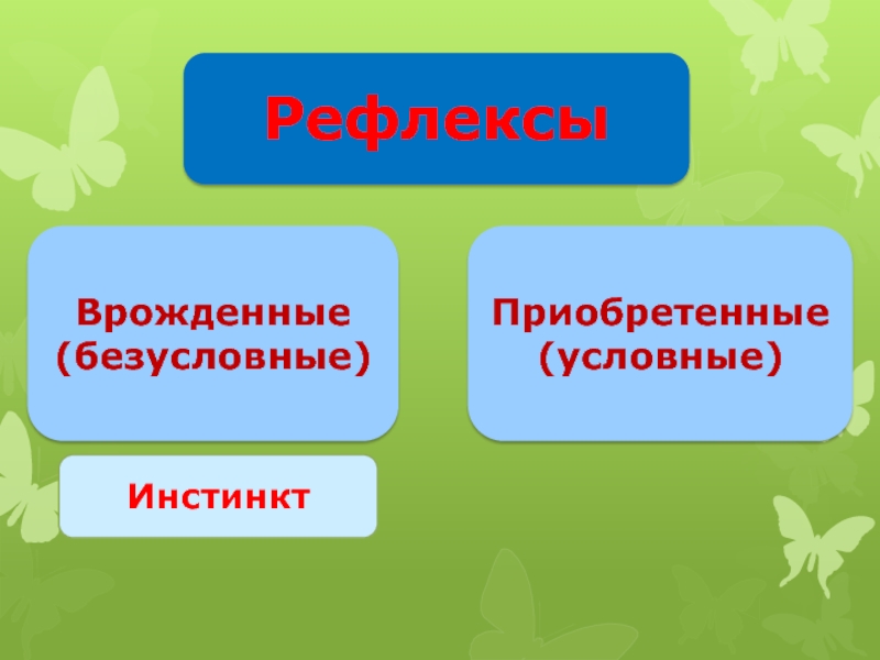 Условные приобретенные. Условный инстинкт. Рефлексы условные приобретенные дуги временные и. Условные инстинкты картинка. Приобретенные.