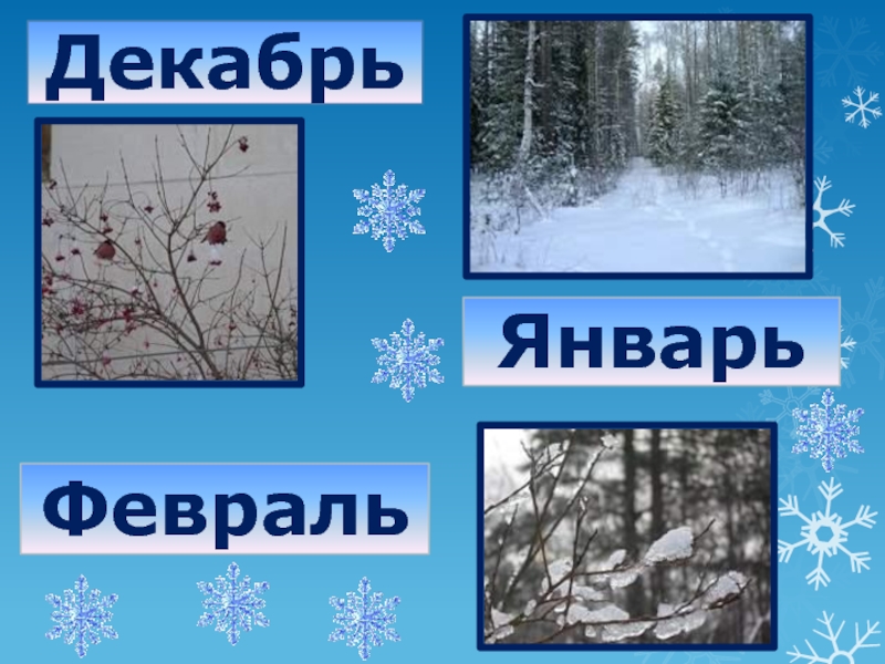 Пришла зима 2 класс. В гости к зиме. Проект в гости к зиме. В гости к зиме картинки. Проект в гости к зиме 2 класс.