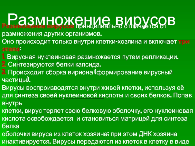 Клетка хозяин вируса. Вирусы размножаются только в клетке хозяина. Размножается только внутри клеток хозяина. Вирусы инактивируются:. Инактивируется это.