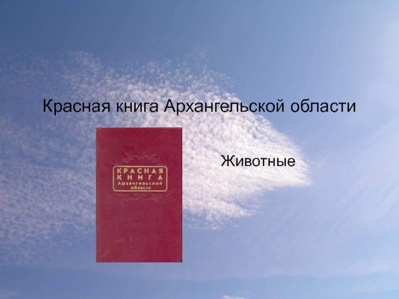 Презентация Красная книга Архангельской области 2 класс