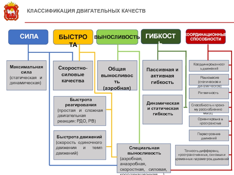 Классификация сил. Классификация двигательных качеств. Классификация двигательных способностей. Классификация двигательных качеств и их характеристика. Классификация основных двигательных способностей ..