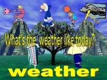 weather 