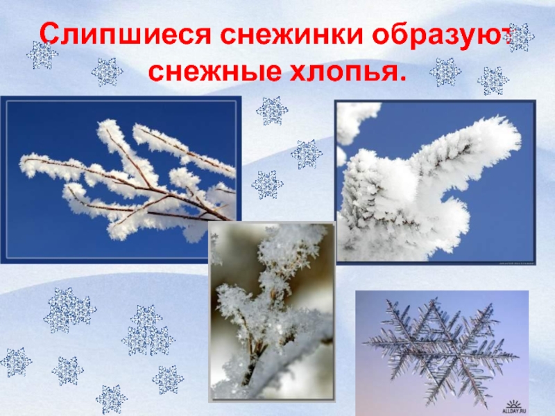 Снег презентация 2 класс. Два интересных фактов о снежинках. Слипшиеся снежинки. Снежинки окружающий мир 2 класс. Снежинки окружающий мир второй класс.