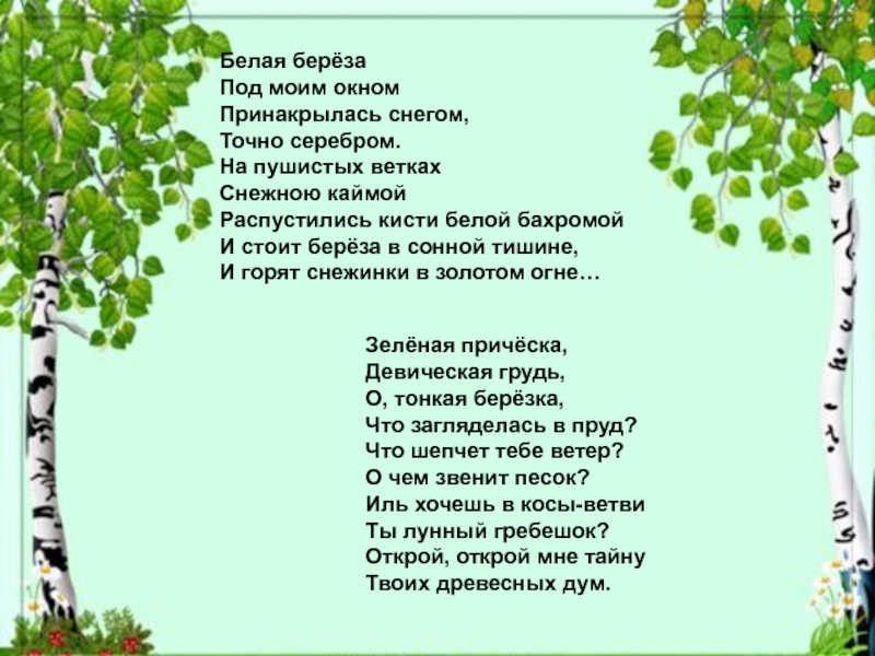 Русская березка стихотворение