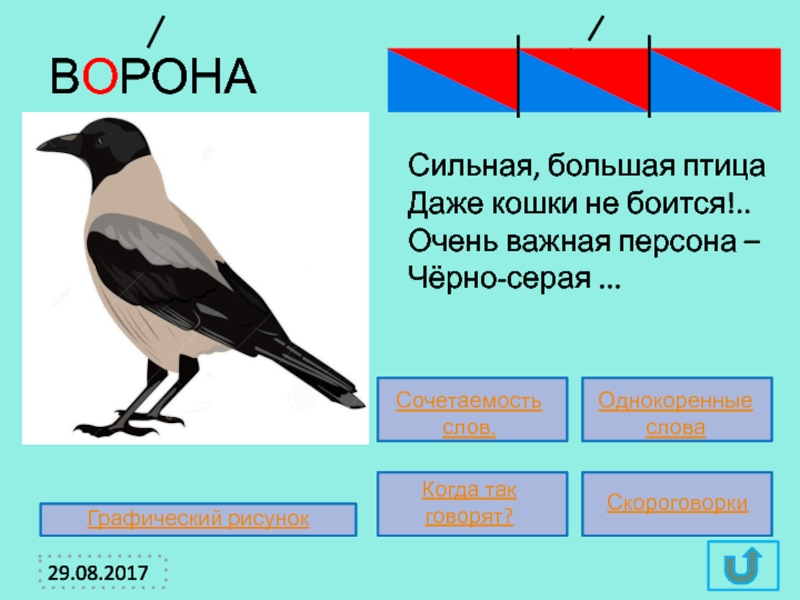 Птицы звуковая схема слова