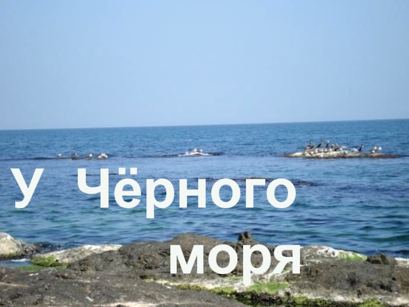 Презентация У Чёрного моря