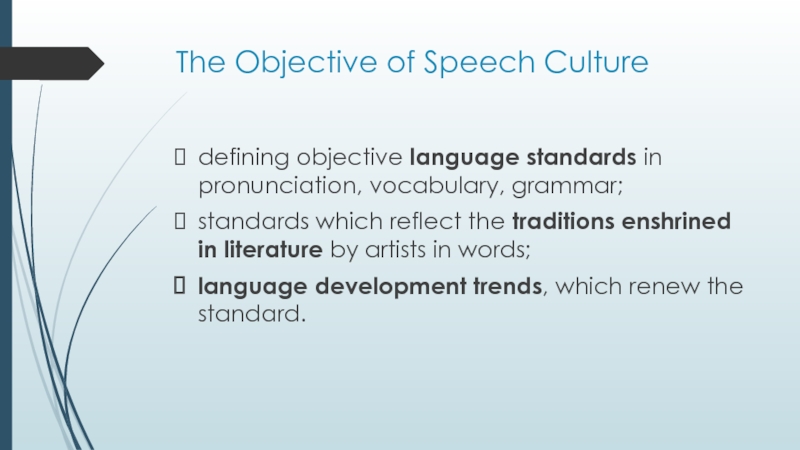 speech culture definition