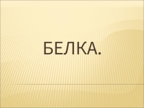 Белка