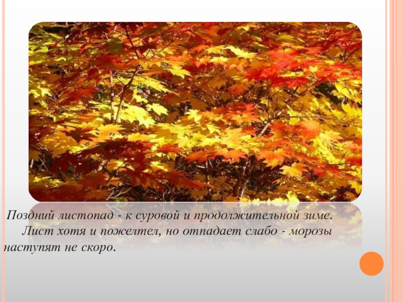 Листопад предложение. Поздний листопад. Предложение на тему листопад. Презентация на тему листопад. Презентация красота осени.