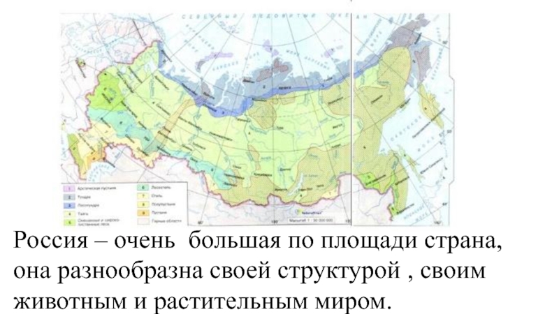 Какая природная зона занимает меньше всего. Природные зоны и биологические ресурсы России карта. Контурная карта природных зон России 4 класс. Природные зоны 4 класс. Природные зоны России 4 класс.