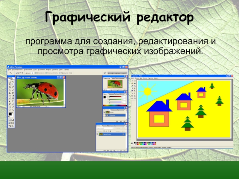 Программа создания редактирования и просмотра графических изображений