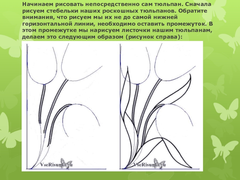 Сначала рисунок. Презентация, 