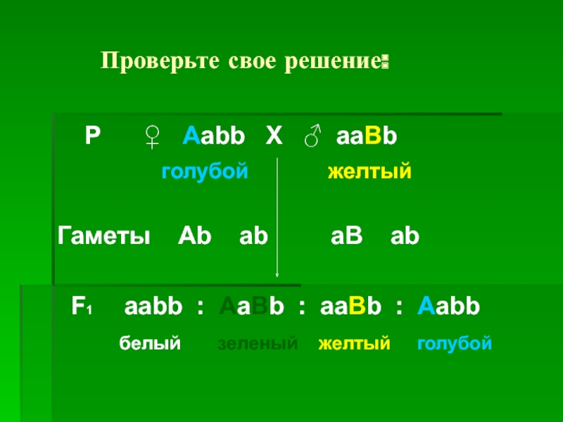 Какие гаметы образует генотип aabb. AABB AABB. AABB Х AABB. AABB X AABB решение. AABB гаметы.