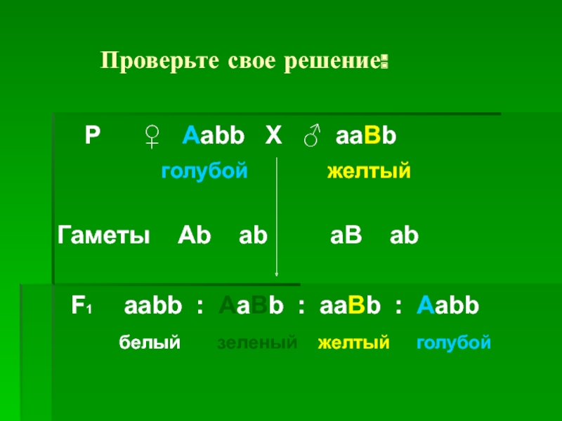 Какие гаметы образует генотип aabb