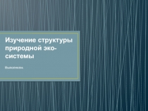 Структура природной экосистемы