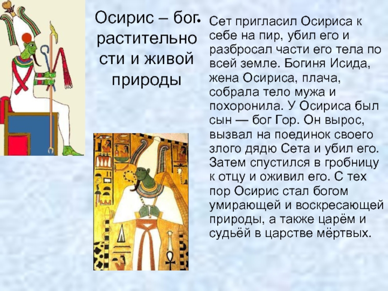 Осирис – бог растительности и живой природыСет пригласил Осириса к себе на пир, убил его и разбросал