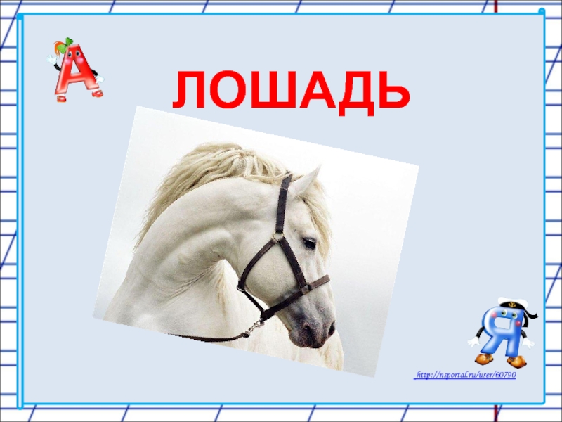 Слово без коня. Слово лошадь. Конь слова. Схема слова лошадь.