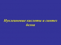 Нуклеиновые кислоты и синтез белка