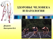 ЗДОРОВЬЕ ЧЕЛОВЕКА И патология
