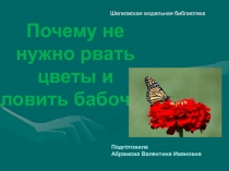 Почему не нужно рвать цветы и ловить бабочек
Подготовила
Абрамова Валентина