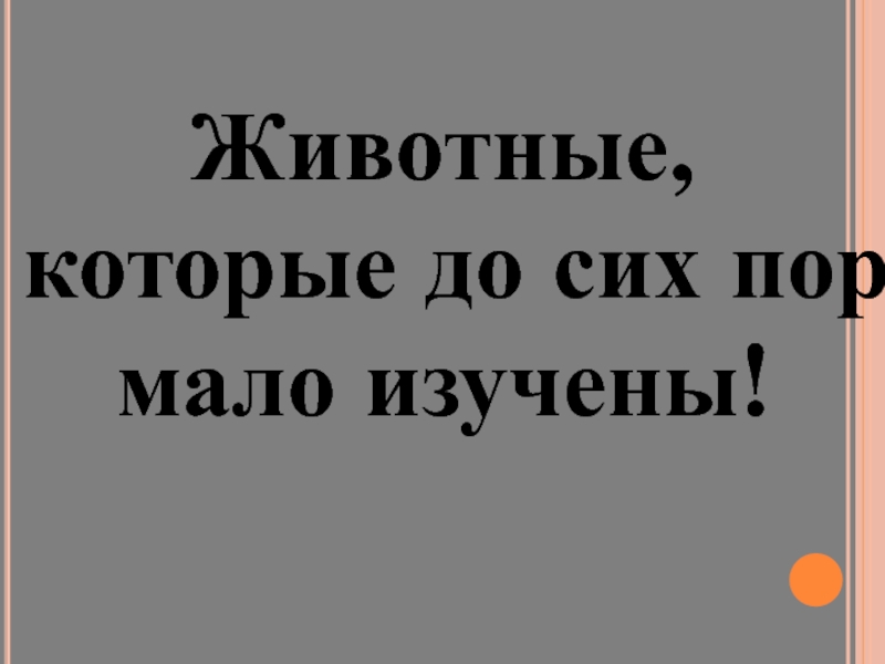 Меньше пора. Животные которые до сих пор мало изучены. Животные которые до сих пор мало изучены в Краснодаре.