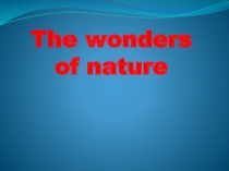 Чудеса природы - The wonders of nature