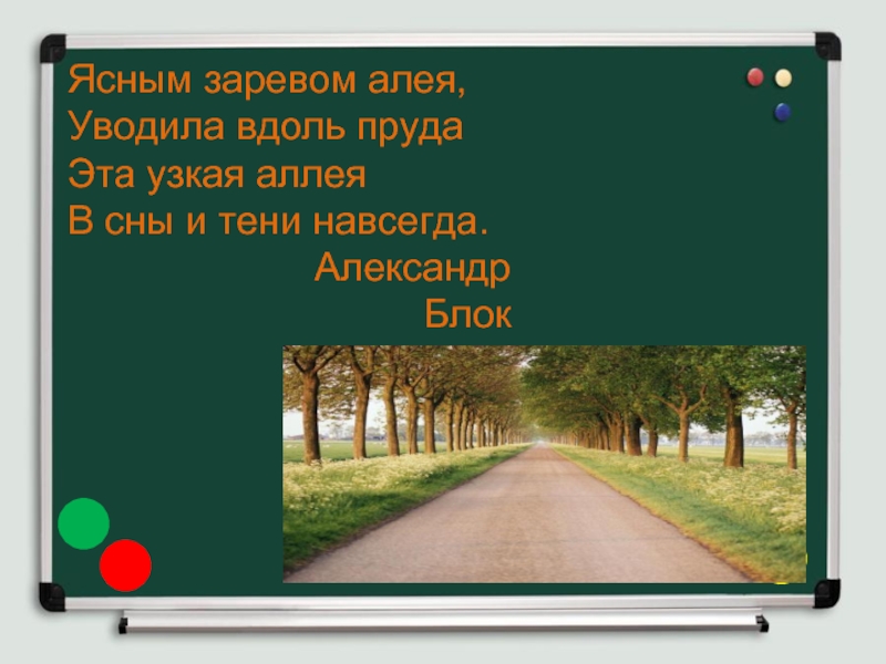 Что значит алеть. Ясным заревом алея уводила вдоль пруда эта узкая аллея уводила. Аллея написание. Аллея или алея как. Как пишется слово аллея.