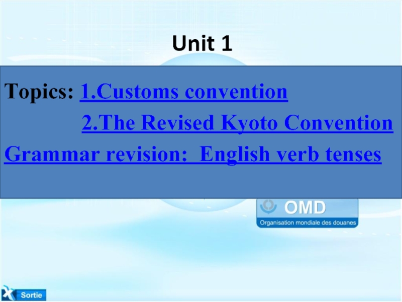 Презентация Customs convention 