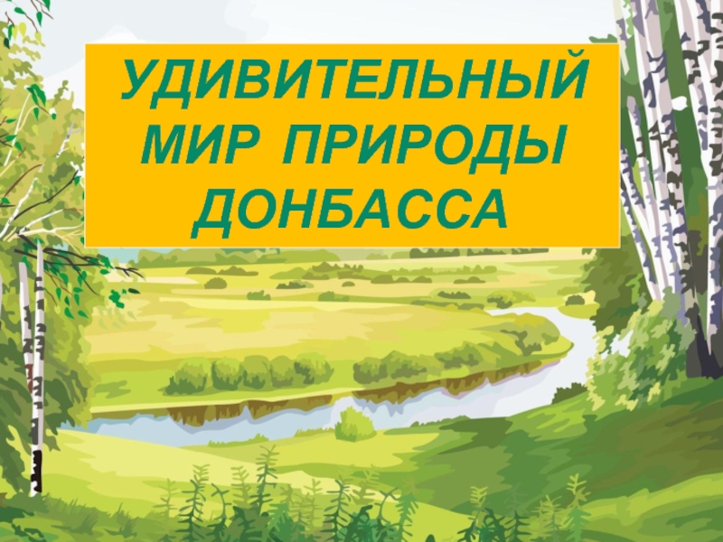 Удивительный мир природы Донбасса 