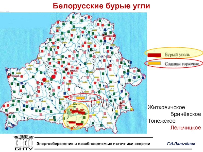 Карта житковичского района