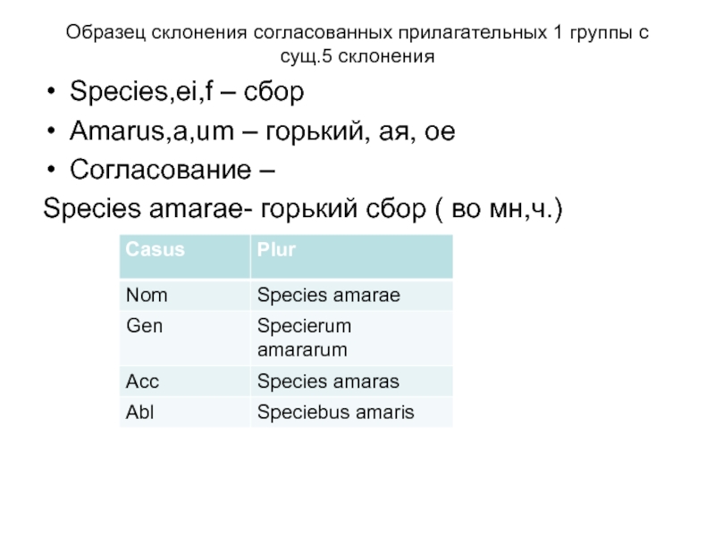 Образец склонения согласованных прилагательных 1 группы с сущ.5 склоненияSpecies,ei,f – cборAmarus,a,um – горький, ая, оеСогласование –Species amarae-