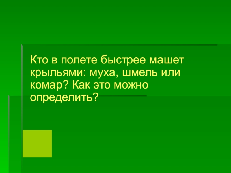 Какое насекомое чаще машет крыльями. Кто быстрее машет крыльями Муха или комар. Кто в полете быстрее машет крыльями Муха Шмель или комар. Кто в полёте чаще машет крыльями: Шмель, Муха или комар?.