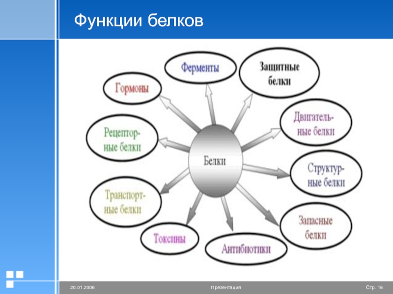 Химия белков тесты