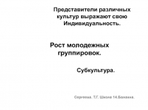 Рост молодежных группировок.  Субкультура