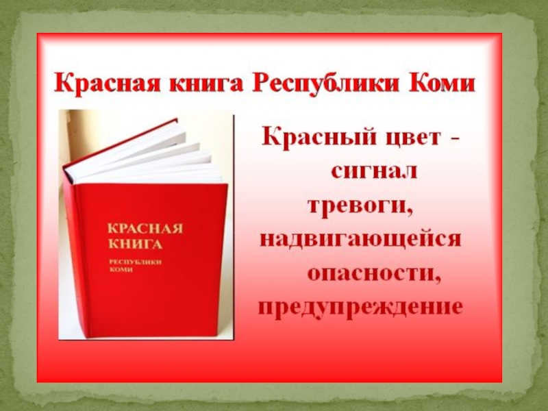 Красная книга сценарий