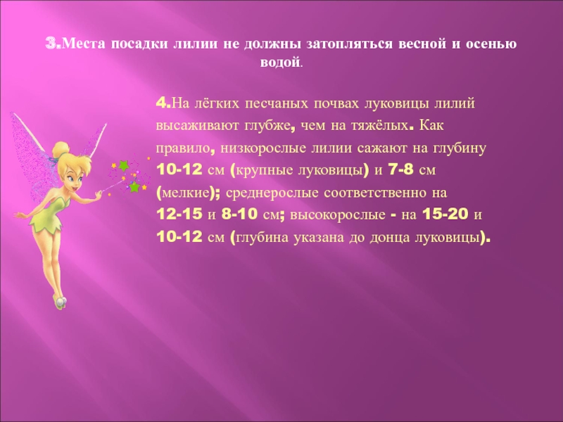 3.Места посадки лилии не должны затопляться весной и осенью водой.4.На лёгких песчаных почвах луковицы лилий высаживают глубже,