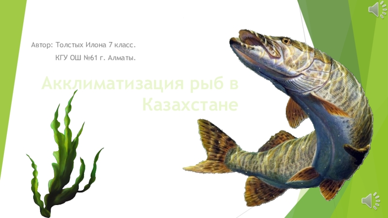 Акклиматизация рыб в Казахстане